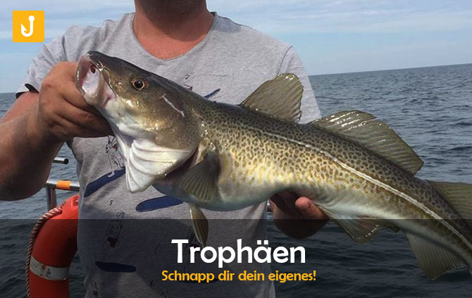 Trophäen